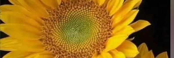 leemarr21 Profile Banner