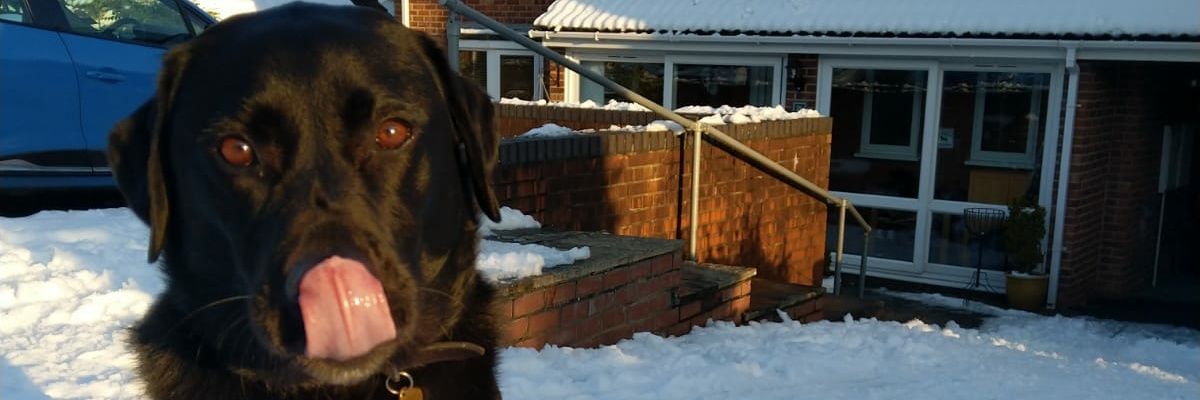 MWornham's profile banner image