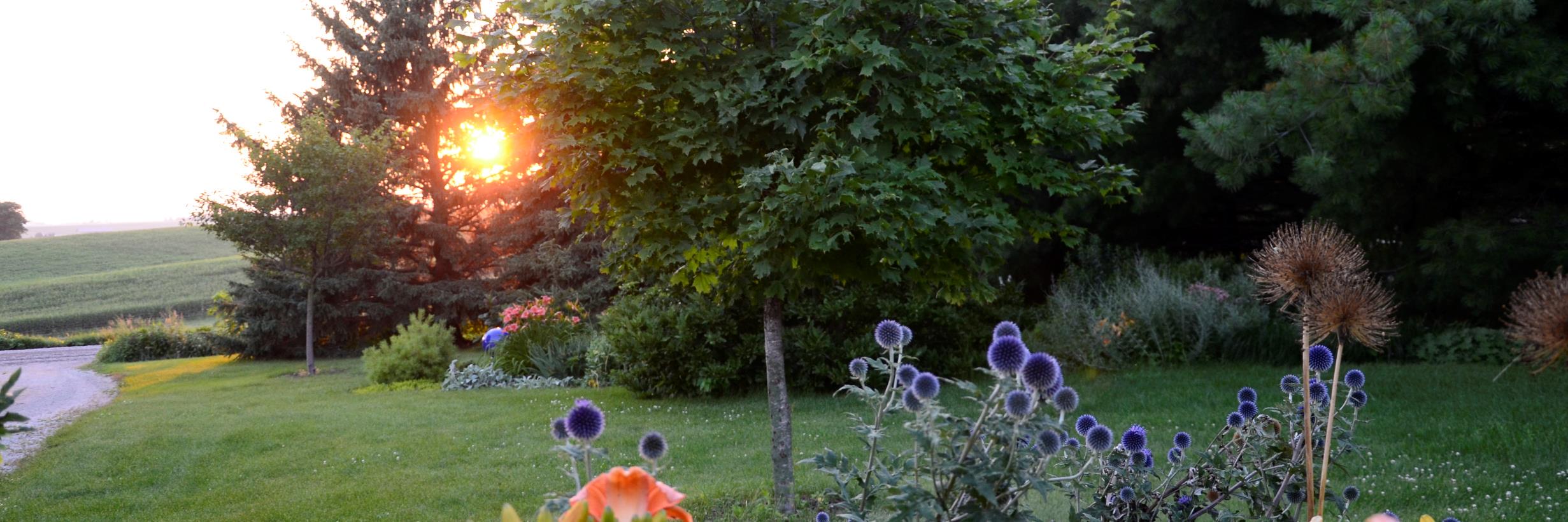 judynauseef's profile banner image