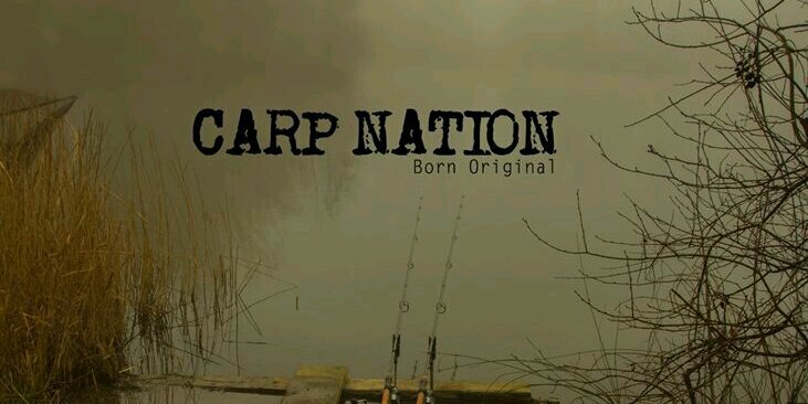 carpnationtv's profile banner image
