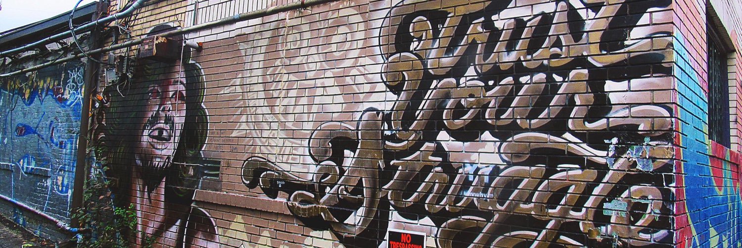 Paige Johnson banner