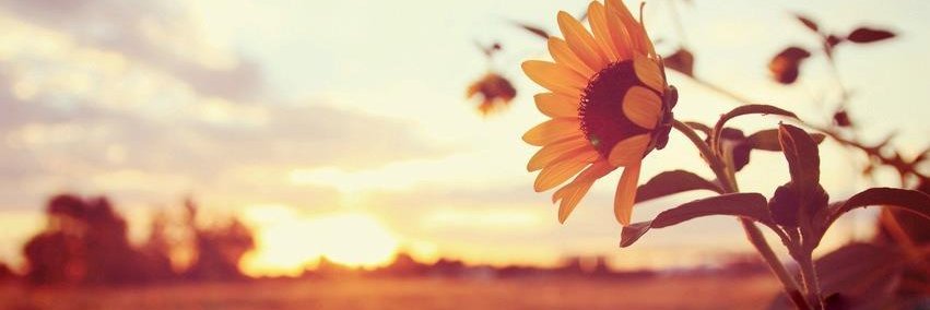 gafferbd's profile banner image