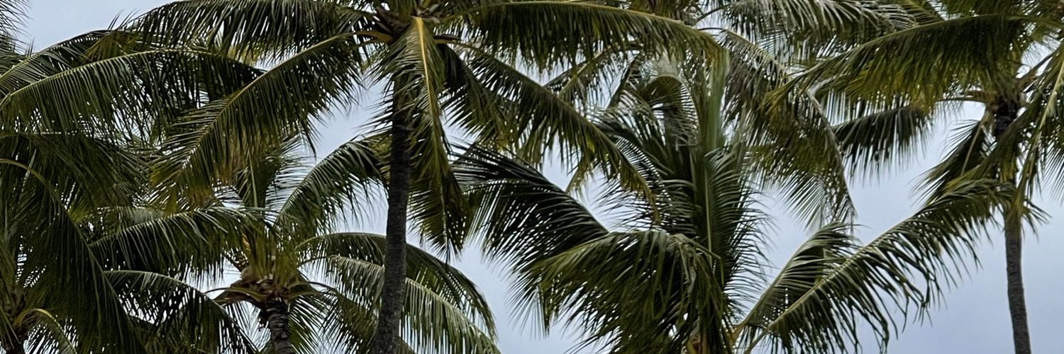 NCoivas's profile banner image
