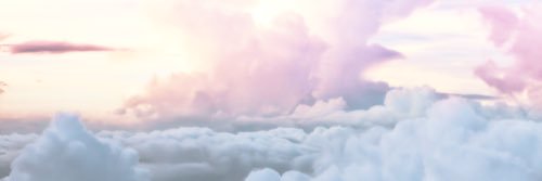 turtleswifty's profile banner image