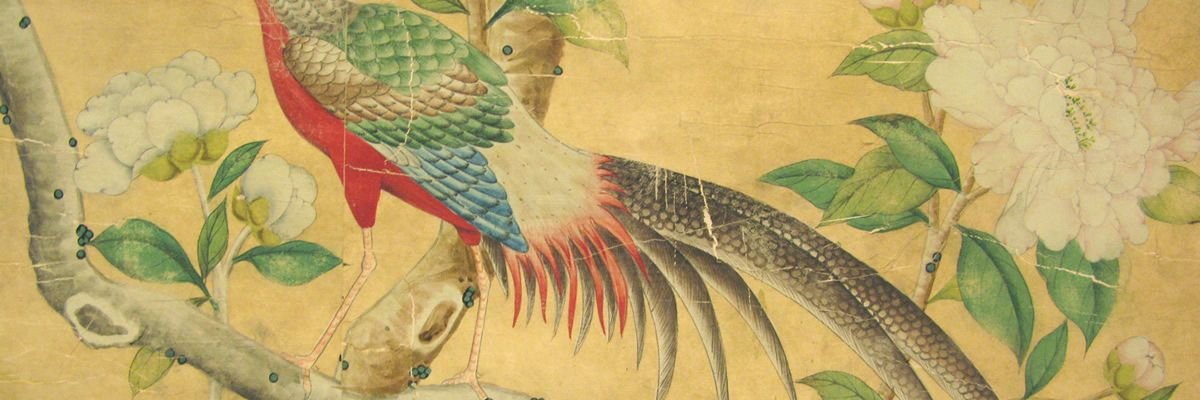 PaceyabilityF's profile banner image