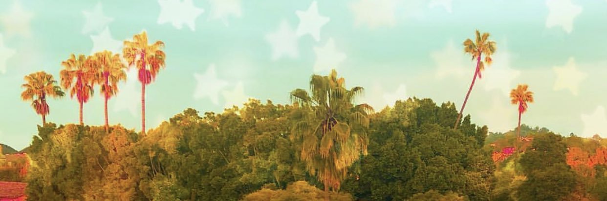 tyler banner