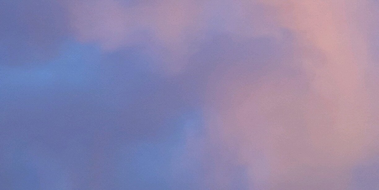 Perros Argentinos banner