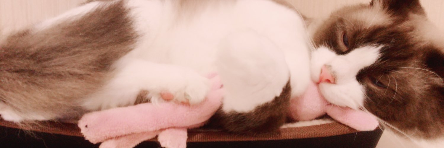 charmin10iSoftb's profile banner image