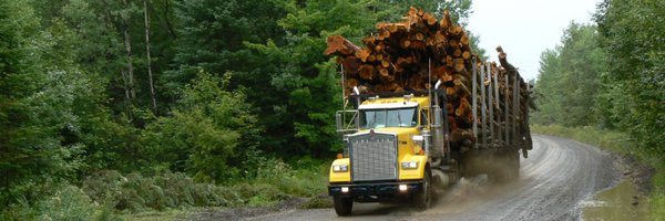 HouseBlueDogs Profile Banner