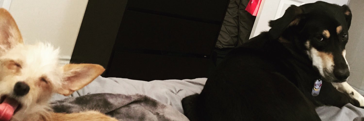 todd_cotton's profile banner image