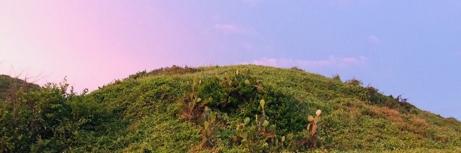 TehuiLuis's profile banner image