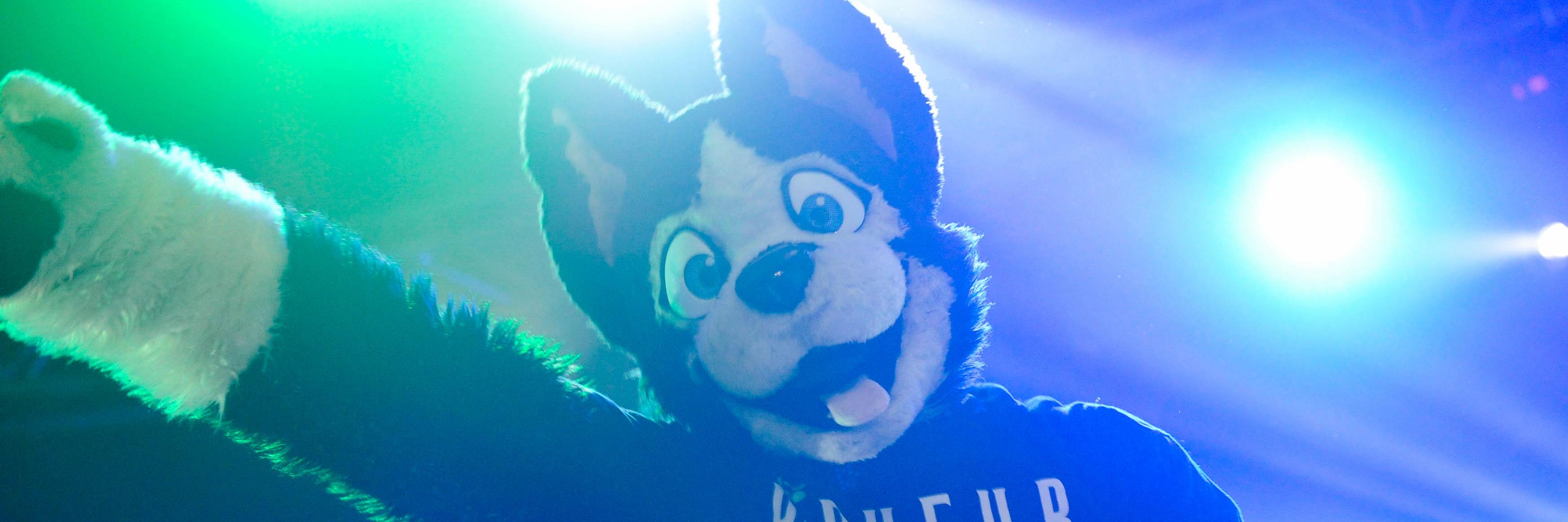 Buddy 🔜 himynameisbuddy 🦋 banner