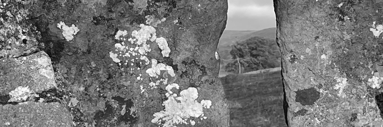 dydixon's profile banner image