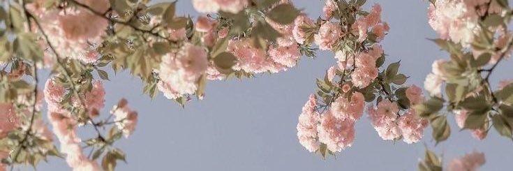 zigglawal's profile banner image