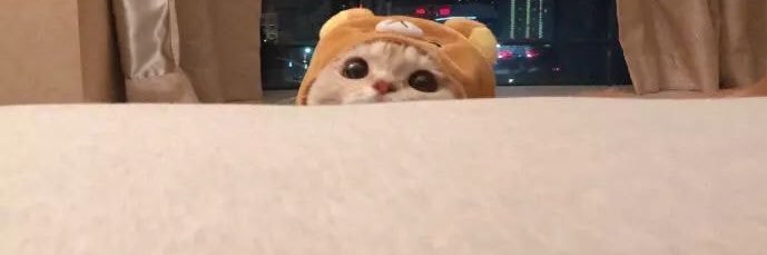 ttloveiss's profile banner image