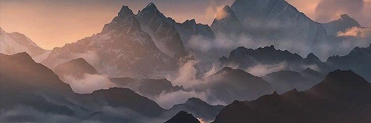 Maria Parsonage 💙 banner