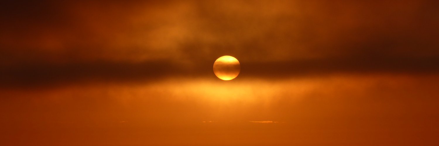 Susan Nowak 🦆🌻🌺🏵️🏖️❤️ banner