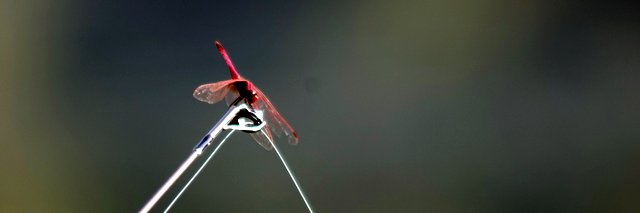 tataiwicked's profile banner image
