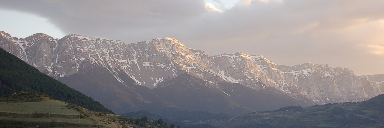 JOAN CARLES ✊🇵🇸 banner