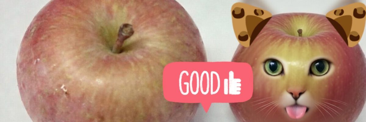 kittyandR's profile banner image
