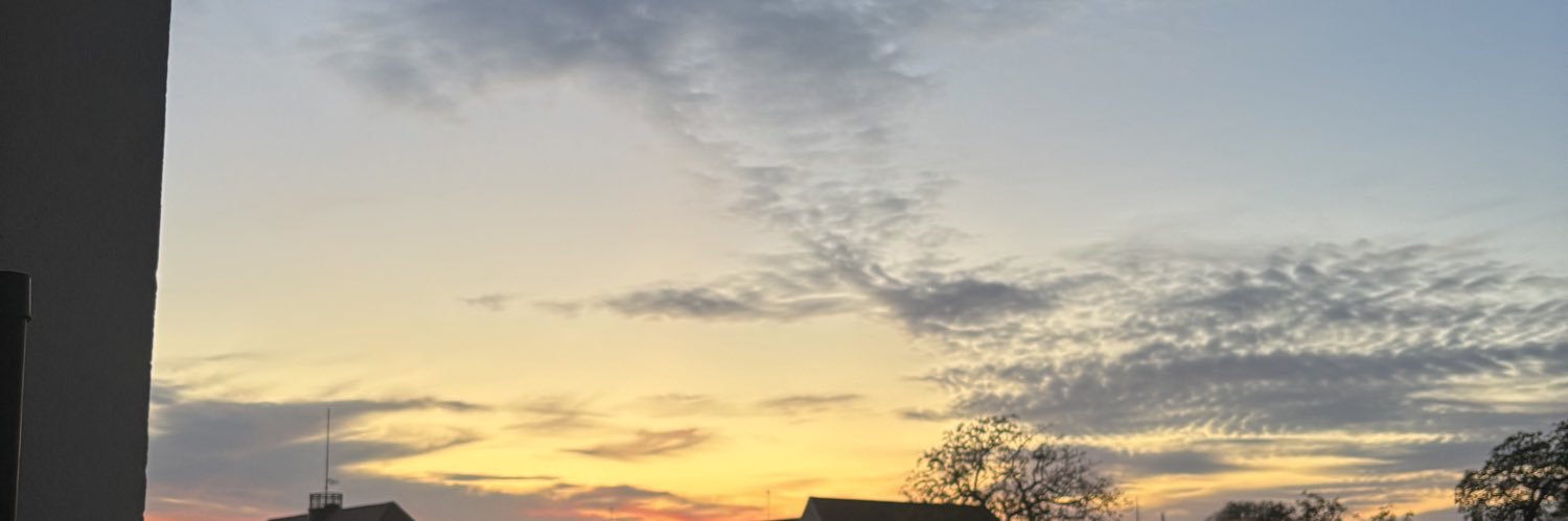 inesbuuu's profile banner image