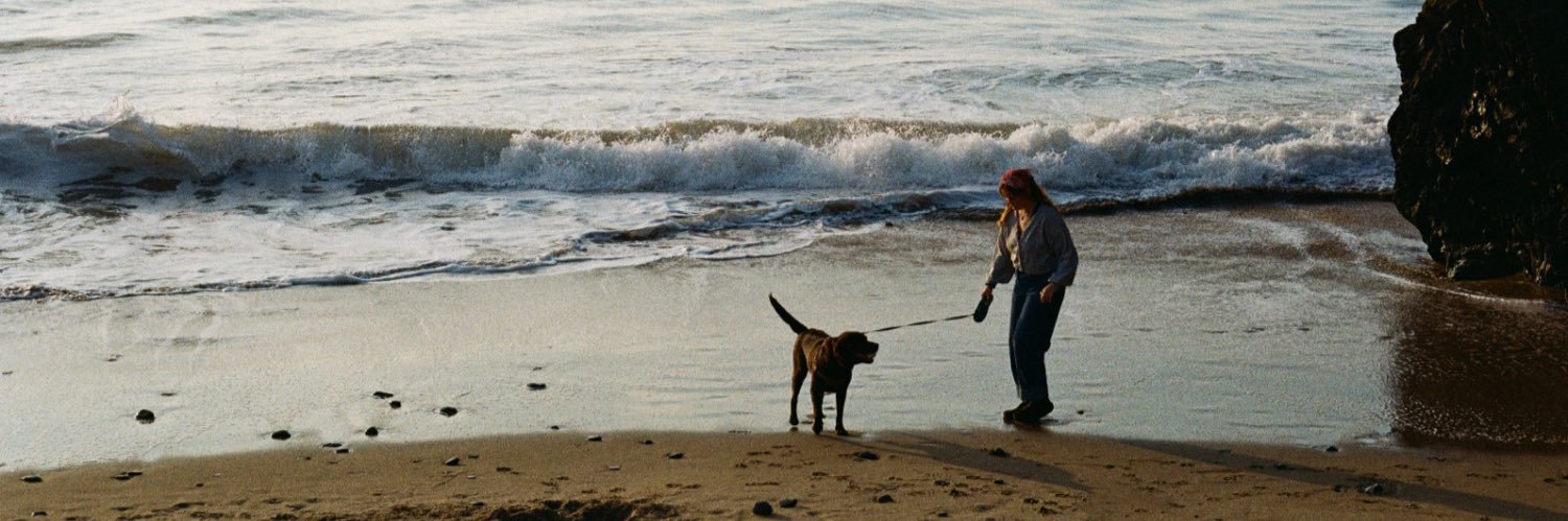 Emilia Wilson banner