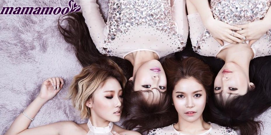 마이마무(MYMAMOO) banner