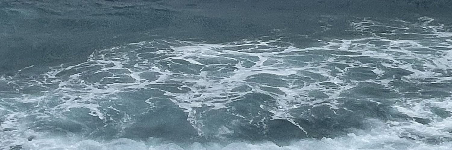 lamm_xi's profile banner image
