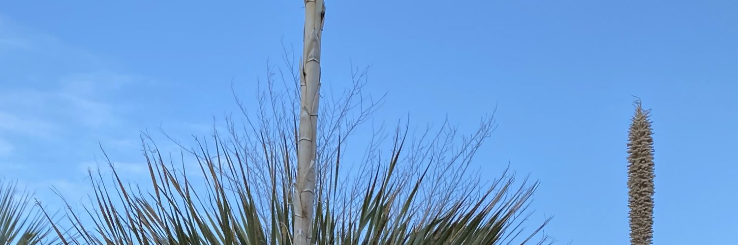 whitney02_'s profile banner image
