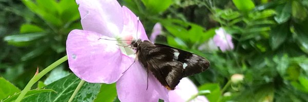 GaripPatricia Profile Banner