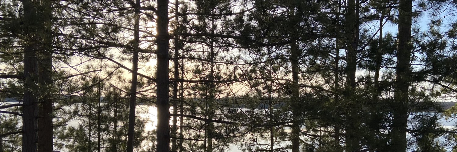 sandislrn's profile banner image