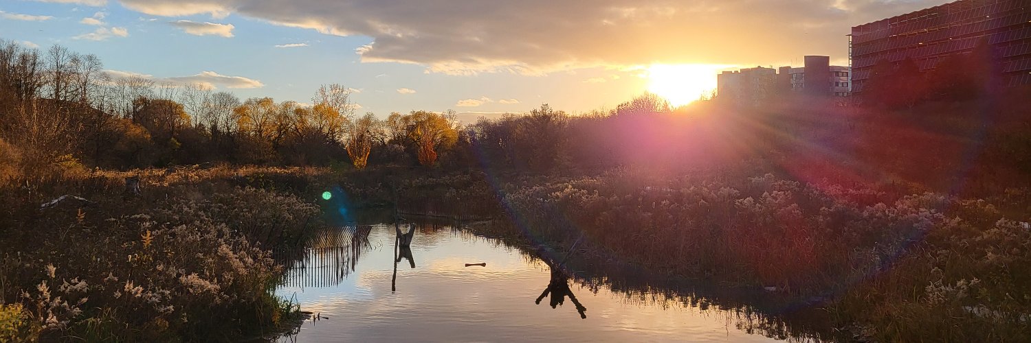 Humber Arboretum banner