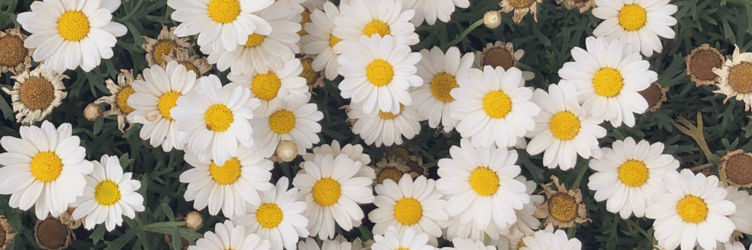 RacheleCosti's profile banner image