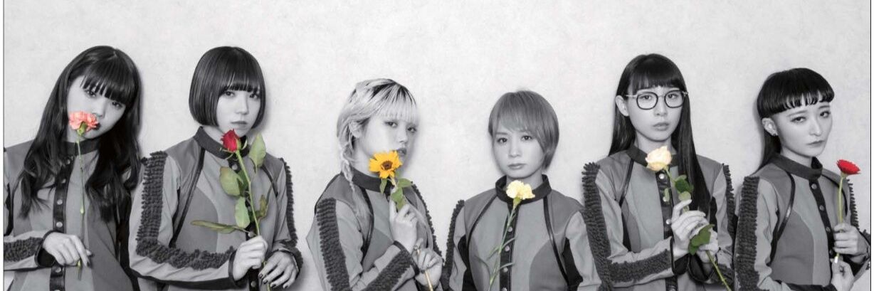 myny55's profile banner image