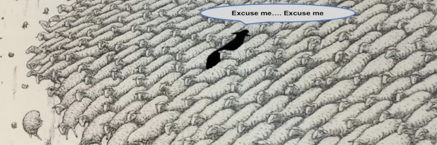 Equity_alpha's profile banner image