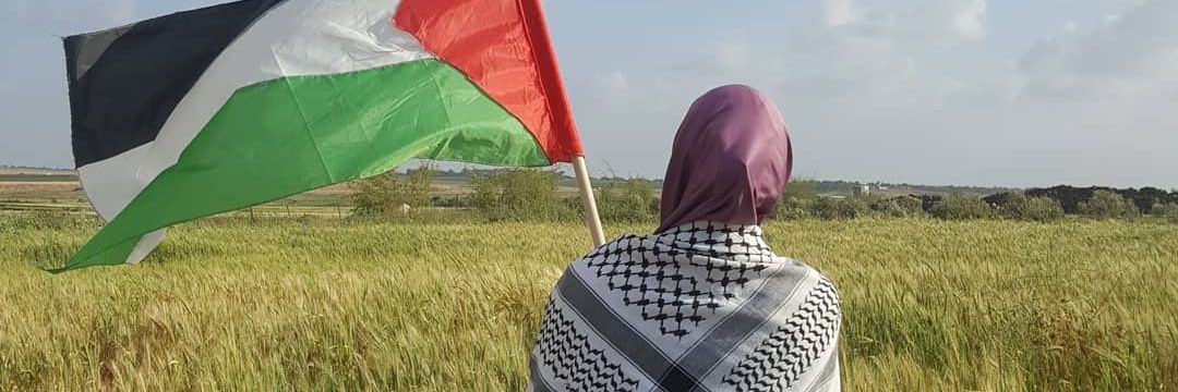 felmadhoun's profile banner image