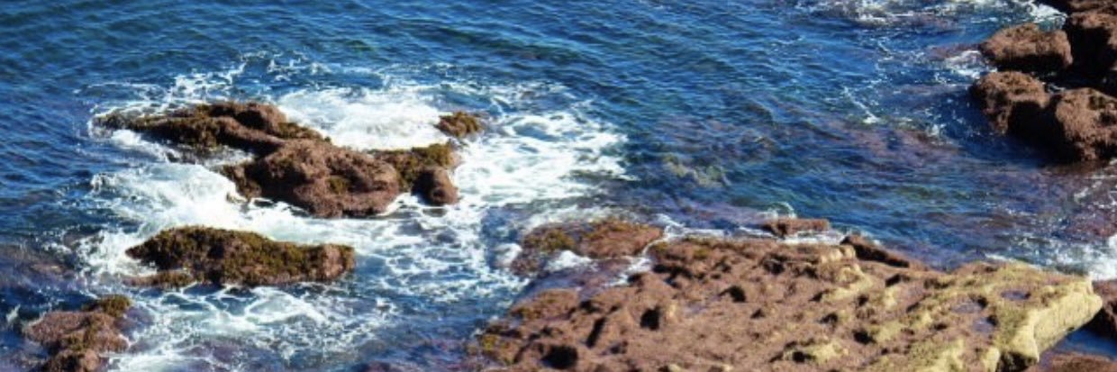 Shue_Romaccio's profile banner image