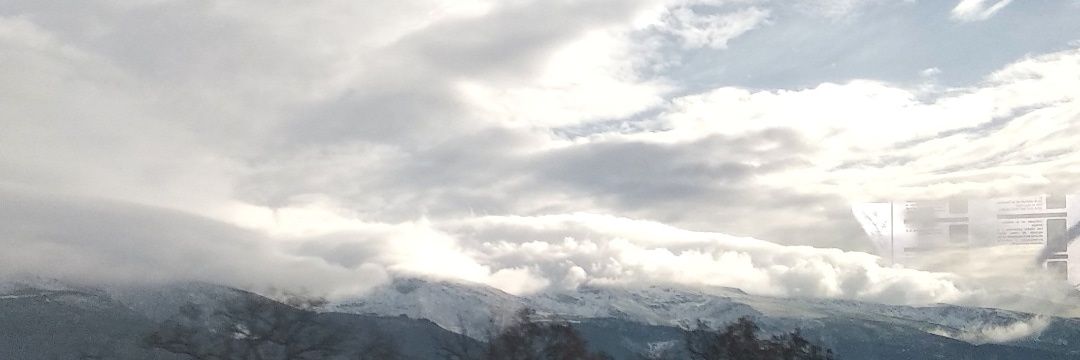 taZerade's profile banner image
