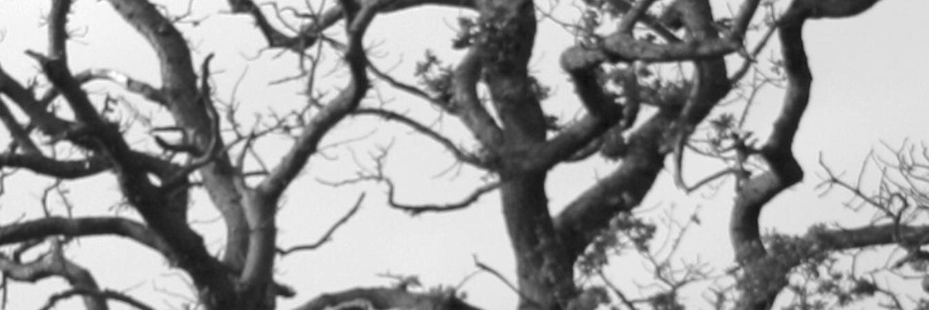 RetSet2's profile banner image