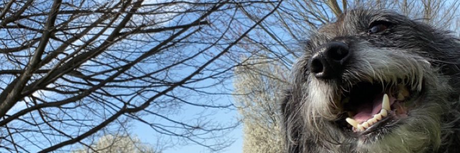 skkyllar's profile banner image