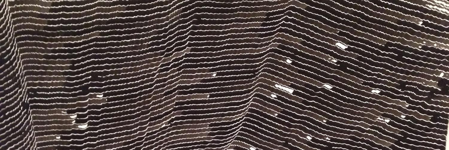 caroline_patel's profile banner image