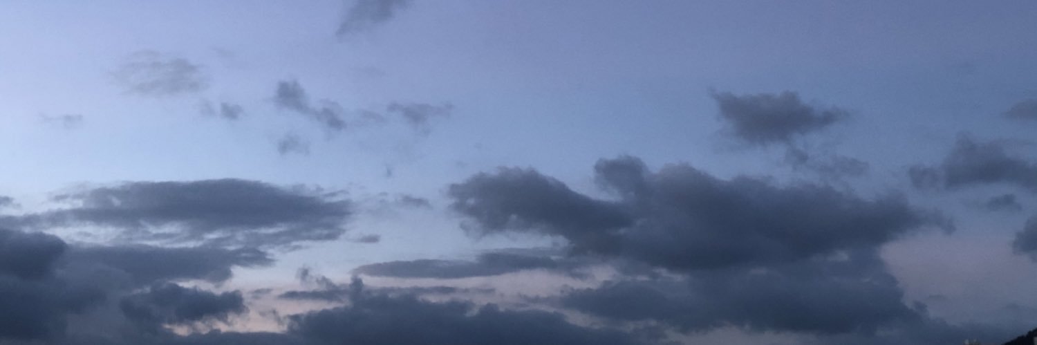 teoditaa's profile banner image