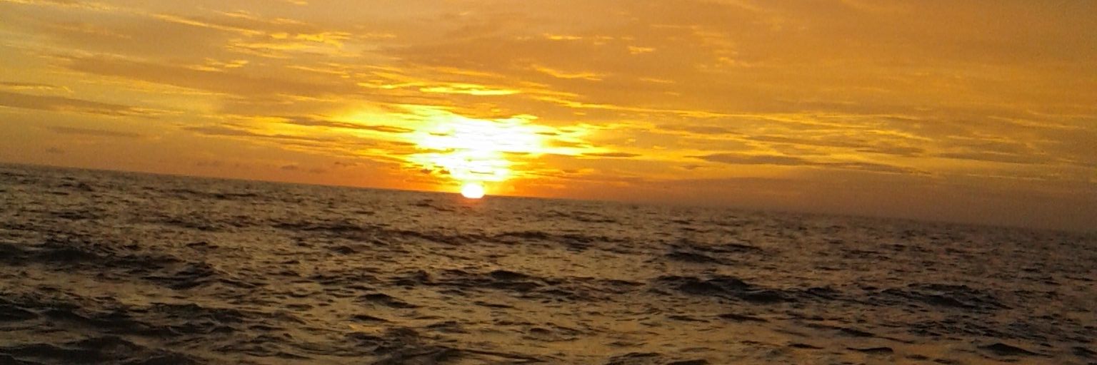 anikyaning's profile banner image