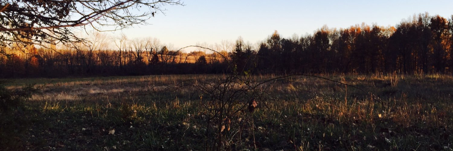 sellers29's profile banner image