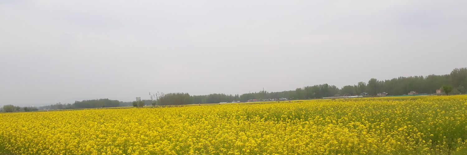 IshFaqStats's profile banner image