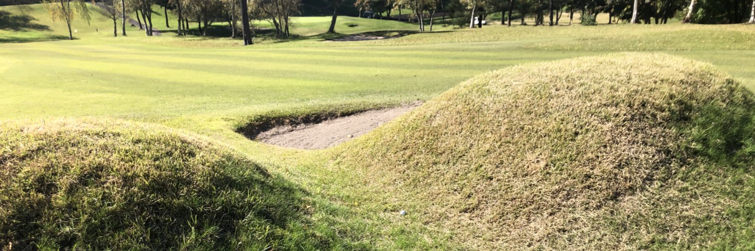 須田康夫　Yasuo Suda banner