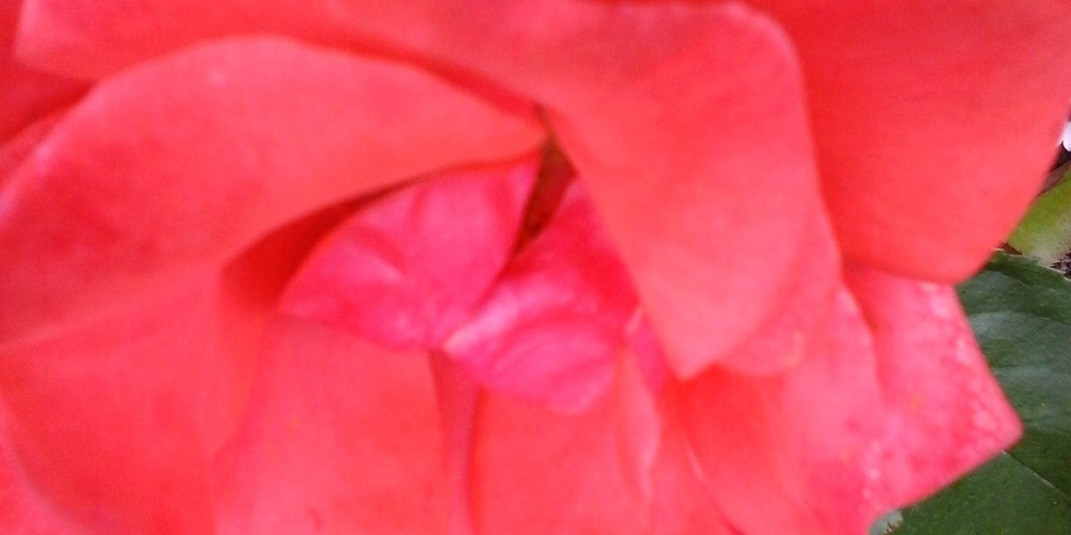 MaryRob40172's profile banner image