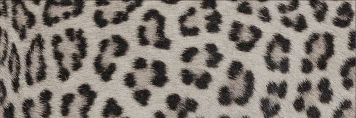 jujasthequeen's profile banner image