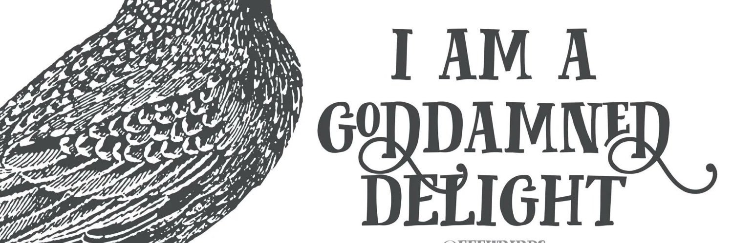 Bill Burke 🇺🇸 banner