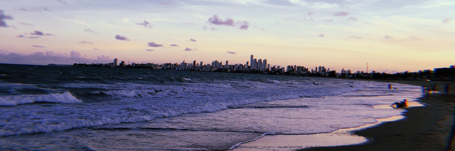 luis henrique banner